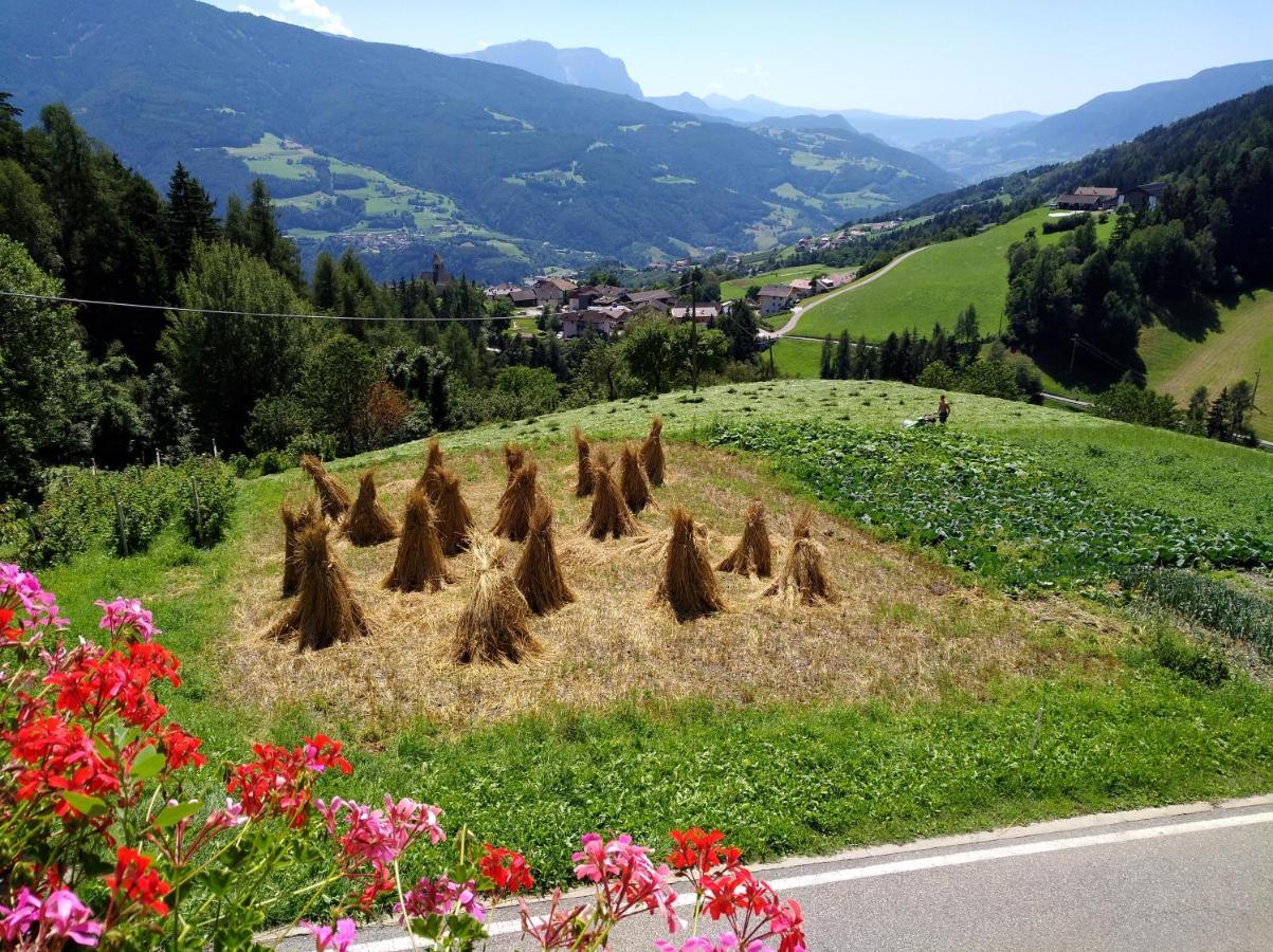 Obermoserhof Villa Feldthurns Luaran gambar